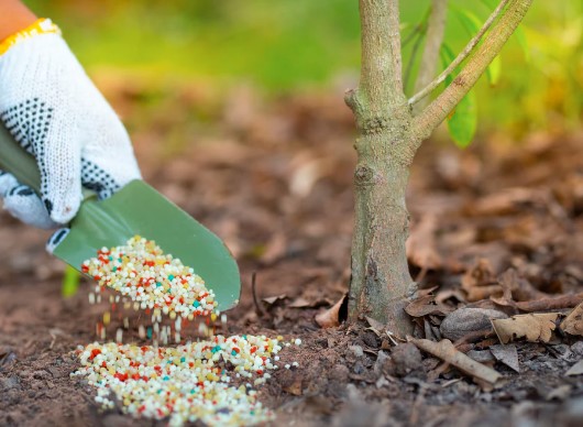 fertilizer market research reports