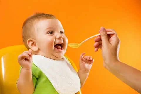 The France Baby Food Market is nurturing a Market Growth