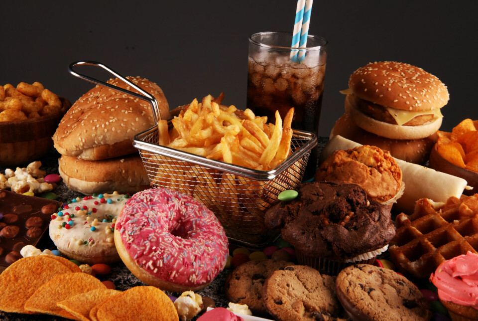 Processed Food Industry