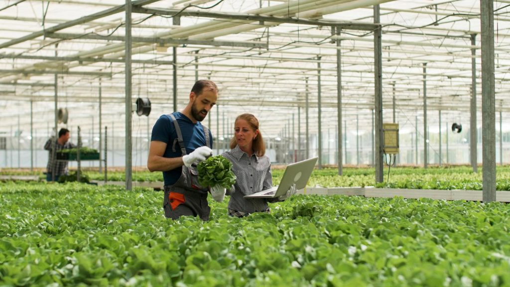 The global agrochemicals market is blooming! Poised to reach $280 billion by 2030, this fertile field offers bountiful opportunities for investors, farmers, and anyone concerned about feeding the world. Join us as we explore the trends, challenges, and potential of this dynamic sector, delving into the soil of statistics and reaping the rewards of knowledge. Let’s cultivate a future where food security blossoms for all! Agriculture Chemical Sector Agriculture Chemical Sector Highlights of Agriculture Chemical Market The global agrochemicals market is projected to reach $280.87 billion by 2030, representing a CAGR of 2.7% from 2022 to 2030. Key drivers include increasing population, rising food demand, and the need for enhanced productivity and crop protection. Asia Pacific holds the largest market share, while North America is expected to have the fastest growth rate. Fertilizers dominate the market, accounting for 68% of revenue in 2022, followed by crop protection chemicals. Cereals and grains are the largest application segment, while fruits and vegetables are experiencing rapid growth. Key players include BASF, Bayer, Dow Chemical, and emerging startups focused on bio-based solutions. Sustainability challenges and the demand for organic options are key factors shaping the industry’s evolution. Agriculture Market Dynamics: Population Growth and Food Security: The burgeoning global population, estimated to reach 9.7 billion by 2050, is driving a relentless surge in food demand. Agrochemicals play a crucial role in ensuring food security by maximizing agricultural productivity and mitigating harvest losses due to pests, diseases, and nutrient deficiencies. Changing Consumer Preferences: The growing health consciousness among consumers worldwide has fuelled a robust demand for fresh fruits and vegetables, boosting the agriculture market industry in the fruit and vegetable segment. Technological Advancements: Precision agriculture, biotechnology, and innovative formulations are transforming the agrochemicals landscape, leading to more targeted and efficient crop management practices. Regional Insights: Asia Pacific: The region’s dominance, with a market share of approximately 29%, stems from its vast agricultural lands, a growing population, and increasing investments in agricultural technologies. North America: The region’s rapid growth is attributed to its advanced agricultural practices, high adoption of precision agriculture technologies, and a focus on research and development in the agrochemicals sector. Agriculture Chemical Market Segmentation Agriculture Chemical Market Segmentation Segment Analysis: Products: Fertilizers (68% market share in 2022) Crop protection chemicals (insecticides, herbicides, fungicides, and others) Plant growth regulators Applications: Cereals and grains (48% market share in 2022) Oilseeds and pulses Fruits and vegetables Others Key Players: BASF SE Bayer CropScience AG Syngenta AG Dow Chemical Company Nufarm Limited Adama Agricultural Solutions Ltd. Sumitomo Chemical Co. Ltd. FMC Corporation Indigo Agriculture Biotalys Future Outlook: The agriculture chemical market is poised for continued growth, driven by population growth, rising food demand, and technological advancements. Sustainability concerns and consumer preference for organic options will shape the industry’s trajectory, with a focus on bio-based solutions and precision agriculture. Research and development initiatives will drive innovation, leading to more effective, targeted, and sustainable agrochemicals. Conclusion: To delve deeper into the opportunities and challenges within this dynamic market, access the comprehensive report for detailed insights, market projections, and strategic recommendations. You may read the related blogs here: Agrochemical Market Outlook 2023: A Comprehensive Analysis Insights into the Growing Agriculture Chemical Industry
