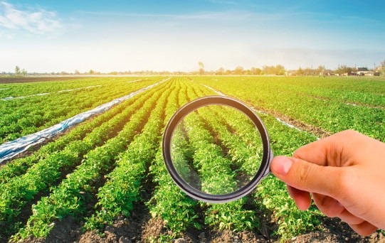 A complete Guide to the Dynamics of Crop Protection Market, Share, Revenue and Growth