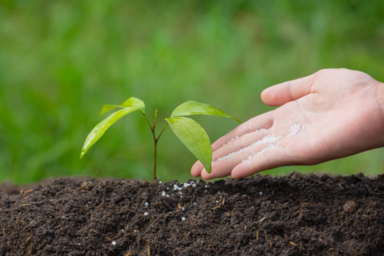 fertilizer market research reports