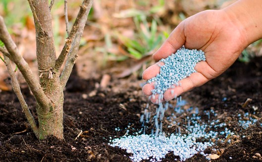 Exploring the Fertilizer Industry Growth, Trends, and Outlook