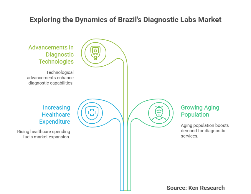 Brazil Diagnostic Labs Market